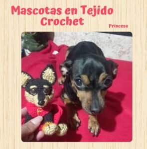 mascotas Tejido crochet3